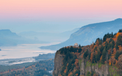 This Land Is Native Land