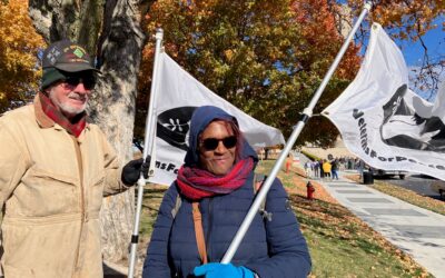 Vets for Peace lead Armistice Day observance