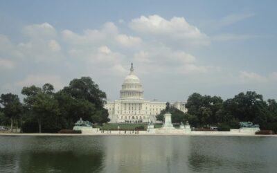 Reflecting on the government shutdown