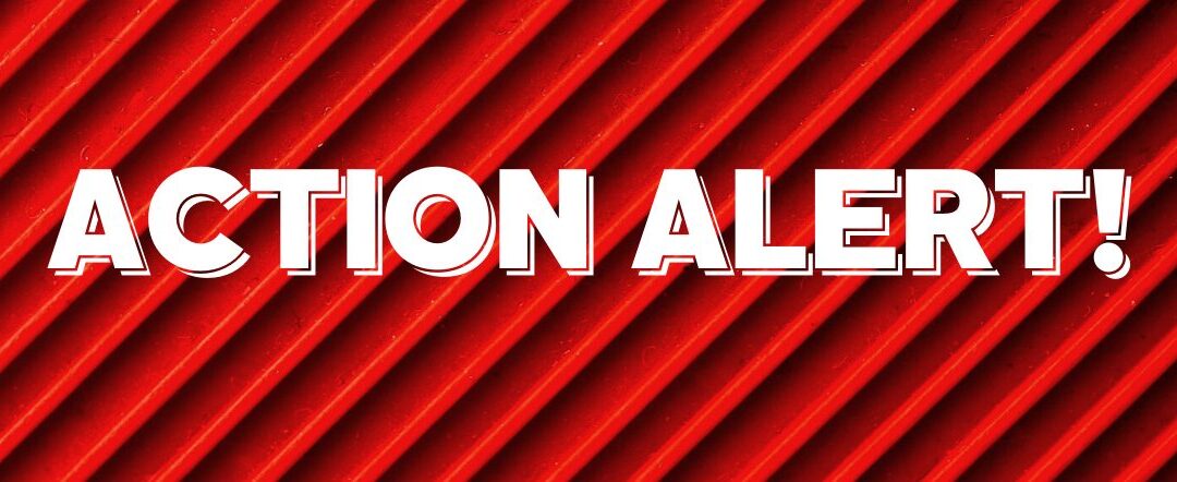 Action Needed! National Call-in Day December 17th to Stop New U.S.- Russia Arms Race