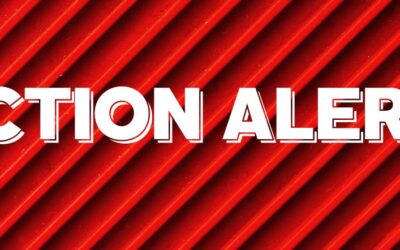 Action Needed! National Call-in Day December 17th to Stop New U.S.- Russia Arms Race