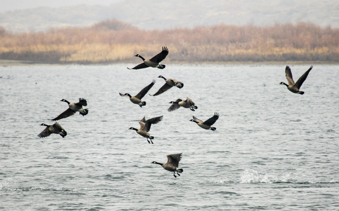 A Southwest Washington and Longview  Win