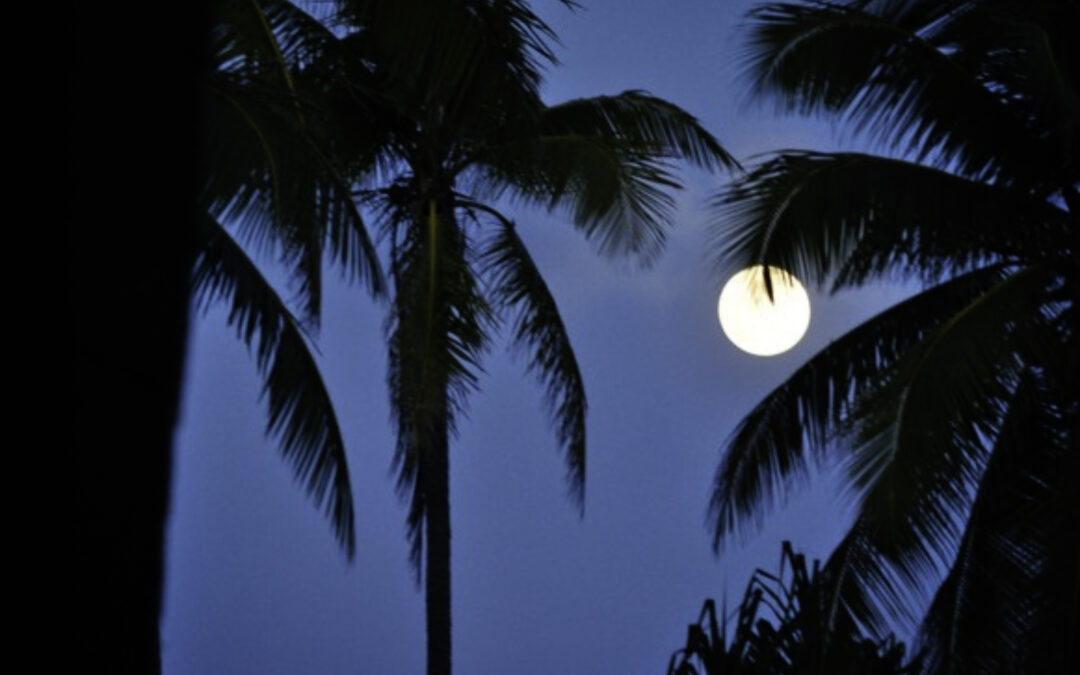 Ivana Nikolić Hughes Appointed to Marshall Islands Experts Group