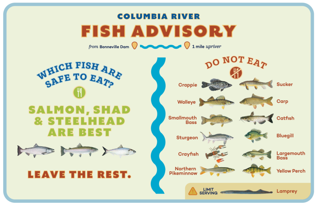 Fish Advisory at Bonneville Dam