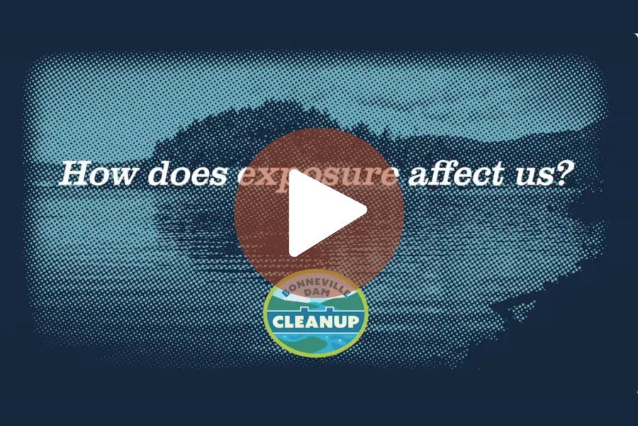 Columbia Riverkeeper Launches Interactive Video Series and Games to Teach Youth about Bonneville Dam Fish Advisory