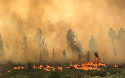 Where There’s Smoke…