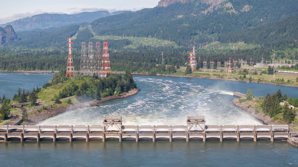 Fish AND Electricity