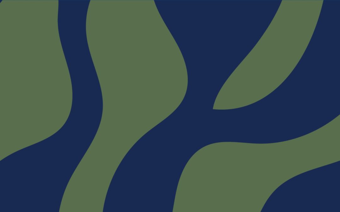 “From Road to River: Tire Chemicals, Salmon, and the Columbia River” Webinar Recording and Resources