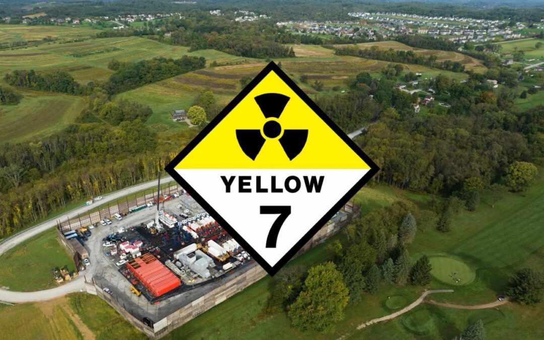 YellowSeven: A New Radioactive Watchdog Guide